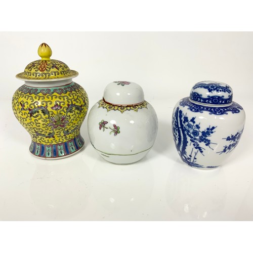 250 - 3 ORIENTAL GINGER JARS WITH COVERS