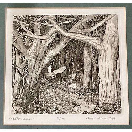 58 - CHARLES H.R. CHAPLIN (1907-1987) LIMITED EDITION ETCHING ‘NEW FOREST GHOST’ 15/75, APPROX. 17 X 16 c... 