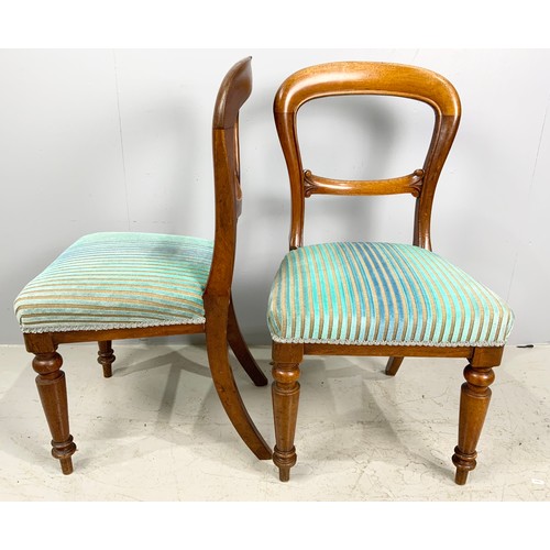 659 - PAIR OF MAHOGANY BALLOON BACK DINING CHAIRS