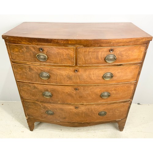 600 - MAHOGANY BOW FRONT 2 OVER 3 CHEST OF DRAWERS  100cm LONG