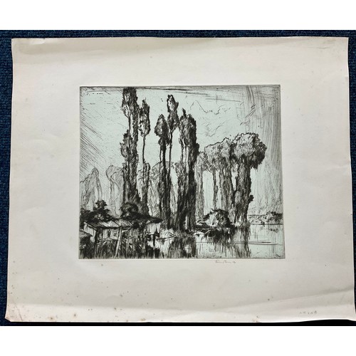 37 - FRANK BRANGWYN ETCHING DEPICTING TREES, APPROX. 35.5 X 30 cm, SIGNED IN PENCIL TO THE MARGIN, UNFRAM... 