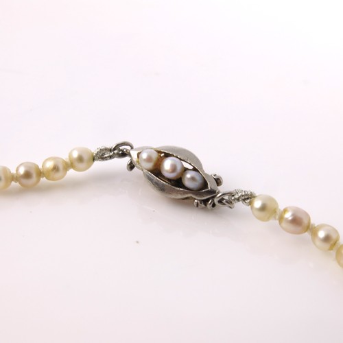 526 - A STRING OF GRADUATED PEARLS IN A JOHN BENNETT, BRISTOL, FITTED BOX