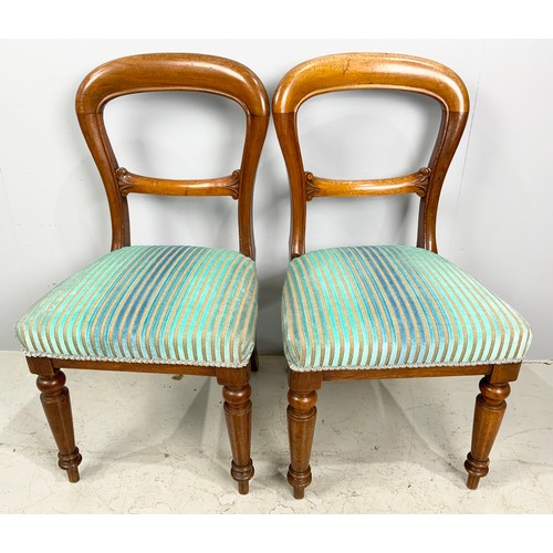 653 - PAIR OF MAHOGANY BALLOON BACK DINING CHAIRS