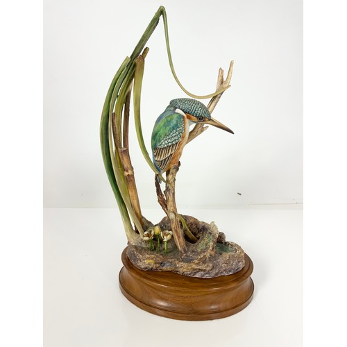 108 - HEREFORD FINE CHINA LIMITED EDITION MODEL OF A KINGFISHER, 36 / 250, ON WOODEN PLINTH WITH FRAMED CE... 