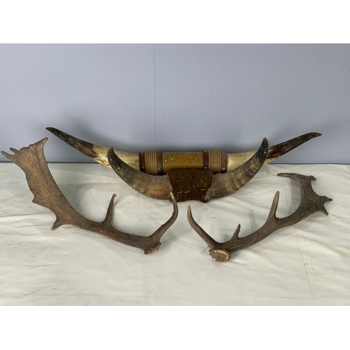 381 - 2 PAIRS OF MOUNTED ANIMAL HORNS & PAIR OF ANTLERS