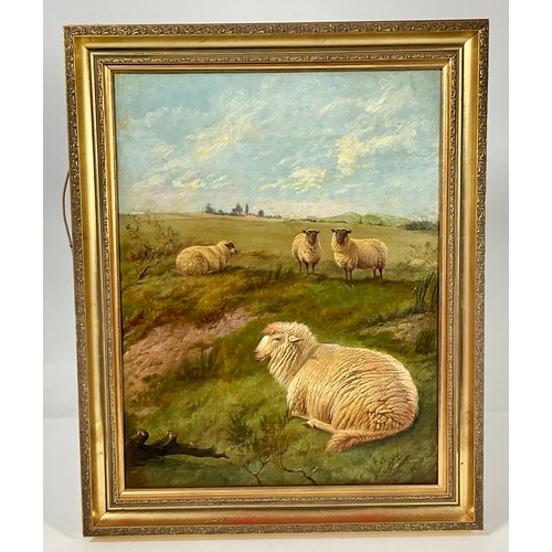 2 - CHARLES 'SHEEP' JONES, OIL ON CANVAS DEPICTING SHEEP IN A LANDSCAPE SCENE LABELLED CHARLES JONES, EX... 