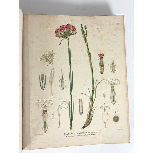 80 - BOOK, BOTANY RELATED, WILLKOMM, ICONES ET DESCRIPTIONES PLANTARUM HISPANIAE DATED 1852 BELIEVED TO B... 