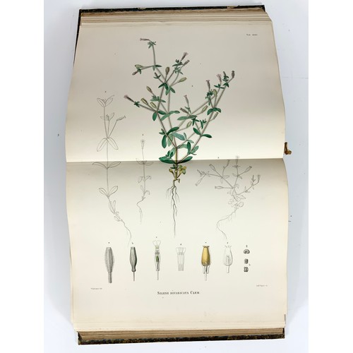 80 - BOOK, BOTANY RELATED, WILLKOMM, ICONES ET DESCRIPTIONES PLANTARUM HISPANIAE DATED 1852 BELIEVED TO B... 