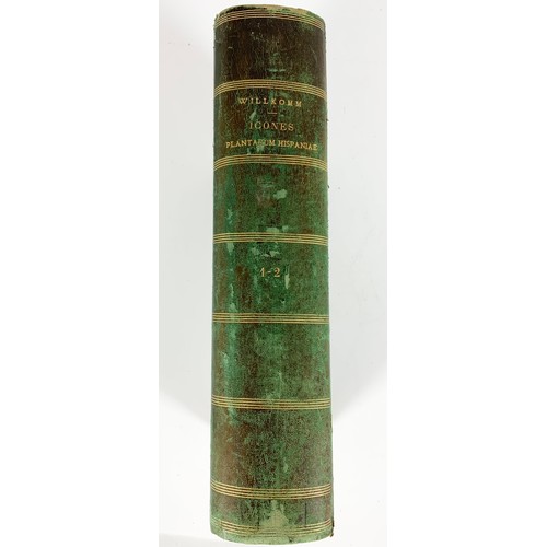 80 - BOOK, BOTANY RELATED, WILLKOMM, ICONES ET DESCRIPTIONES PLANTARUM HISPANIAE DATED 1852 BELIEVED TO B... 