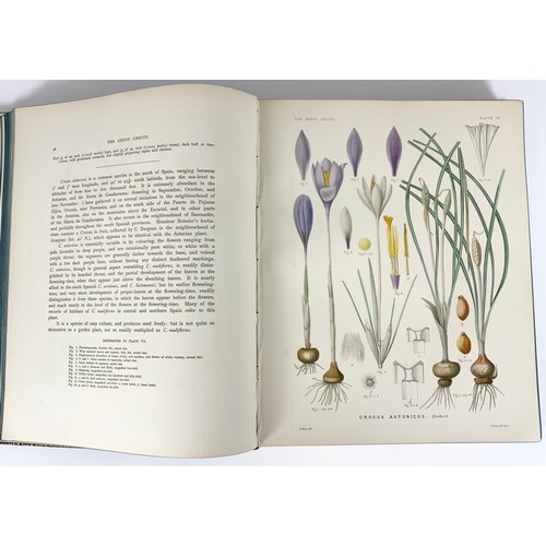 81 - BOOK, BOTANY RELATED – MAW (GEORGE) A MONOGRAPH OF THE GENUS CROCUS FIRST EDITION 1886