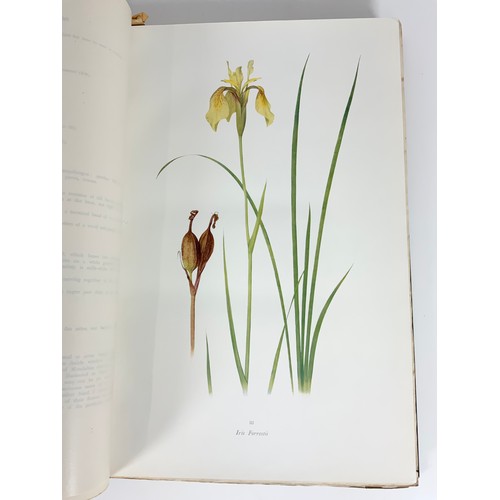 78 - BOOK, BOTANY RELATED– WILLIAM RICKATSON DYKES, THE GENUS IRIS PUBLISHED CAMBRIDGE AT THE UNIVERSITY ... 