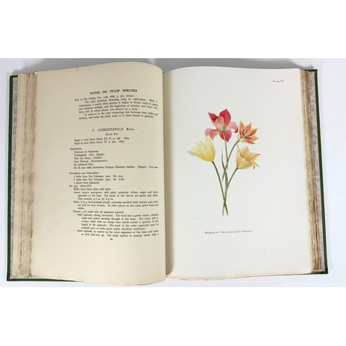 77 - BOOK, BOTANY RELATED– WILLIAM RICKATSON DYKES, NOTES ON TULIP SPECIES, FIRST EDITION WITH COLOUR PLA... 