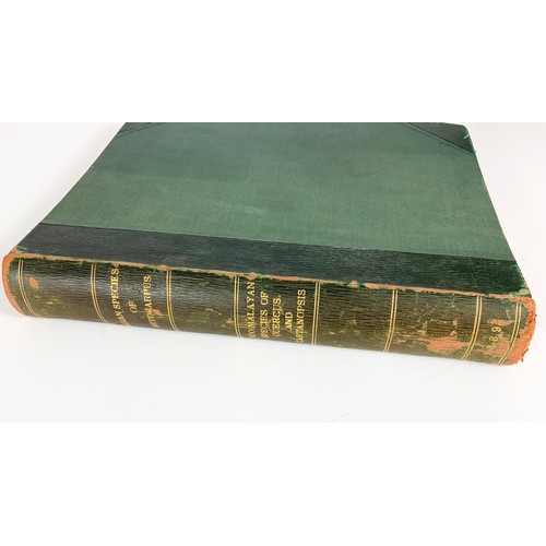 76 - BOOK, BOTANY RELATED– GEORGE KING INDIAN SPECIES OF ARTOCARPUS VOLUME 2 DATED 1889