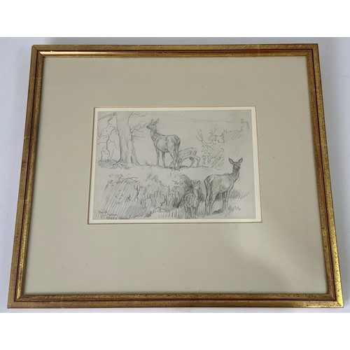 31 - ORIGINAL PENCIL DRAWING HINDS AND CALVES, BAGLEY CLEEVE