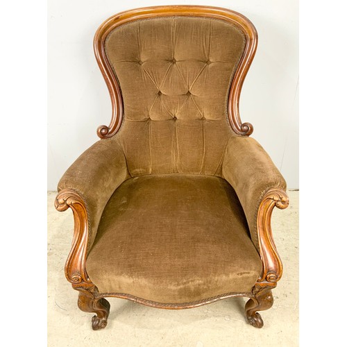 650 - VICTORIAN SHOW FRAME BUTTON UPHOLSTERED CHAIR