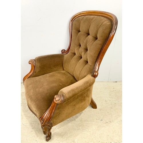 650 - VICTORIAN SHOW FRAME BUTTON UPHOLSTERED CHAIR