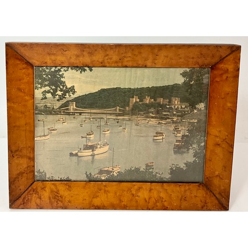 35 - PAIR OF WALNUT FRAMES OVERALL FRAME SIZE 50CM X 38CM