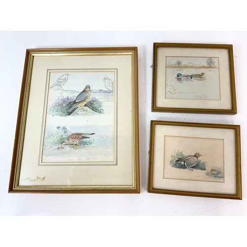 26 - WATERCOLOURS DEPICTING BIRDS AND A SILK EMBROIDERED ‘PICTURE’