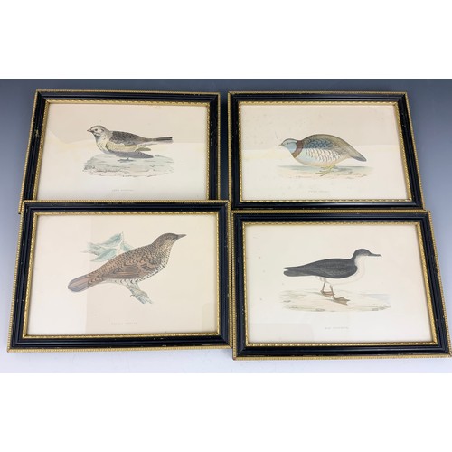 57 - VARIOUS MISC. PRINTS INCLUDING ANTIQUE BIRD PRINTS AND OTHERS.