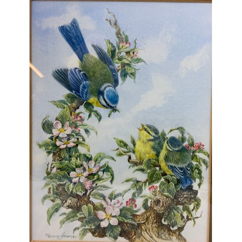 40 - PETER HODGE (BORN 1949) KINGFISHER & BLUETITS WATERCOLOURS  SIGNED BOTH 19cm x 15cm