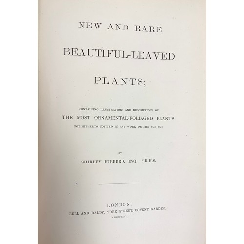 95 - NEW AND RARE BEAUTIFUL LEAVED PLANTS SHIRLEY HIBBERD PUBLISHED BY BELL & DALDY 1870, MORRIS’S HISTOR... 