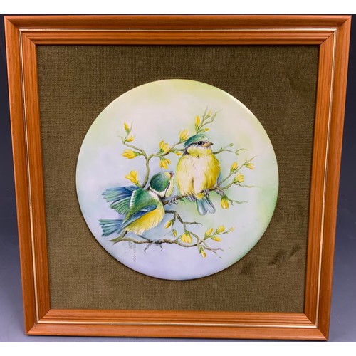 163 - TWO ROUND PORCELAIN PLAQUES DECORATED WITH HAND PAINTED  BIRDS SIGNED & FRAMED