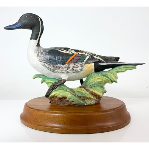 108 - CROWN STAFFORDSHIRE  LARGE MODEL OF A PINTAIL DUCK ON WOODEN PLINTH WITH COA AF