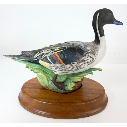 108 - CROWN STAFFORDSHIRE  LARGE MODEL OF A PINTAIL DUCK ON WOODEN PLINTH WITH COA AF