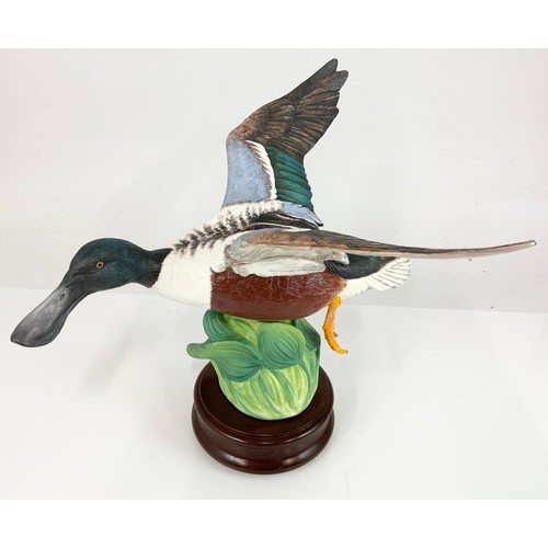 89 - CROWN STAFFORDSHIRE LARGE MODEL OF A SHOVELER  DUCK ON PLINTH WITH COA BOXED