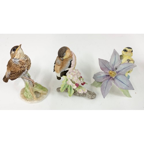 125 - 6 ROYAL WORCESTER FLEDGLING BIRD MODELS