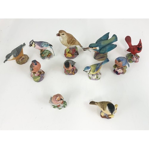 95 - 11 ROYAL WORCESTER SINGLE BIRD MODELS INC KINGFISHER, THRUSH , BULLFINCH ETC