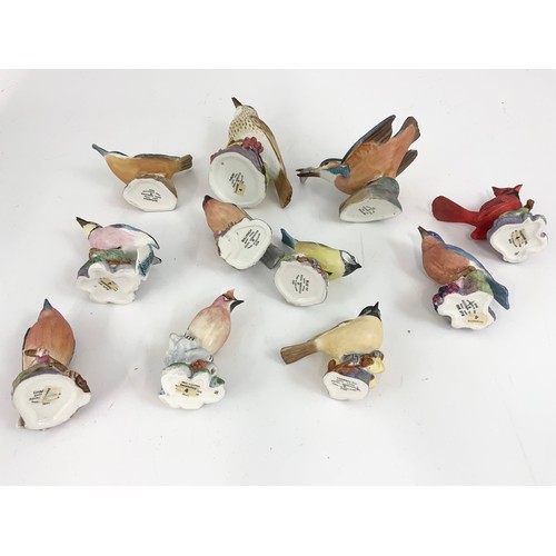 95 - 11 ROYAL WORCESTER SINGLE BIRD MODELS INC KINGFISHER, THRUSH , BULLFINCH ETC