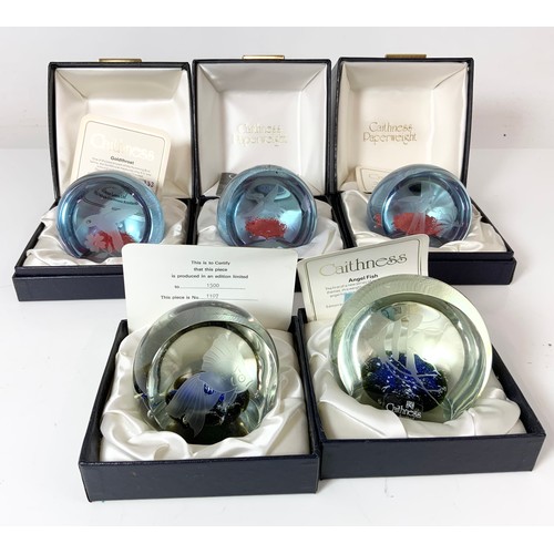 280 - 5 BOXED CAITHNESS PAPERWEIGHTS BIRD & FISH MOST WITH COA.