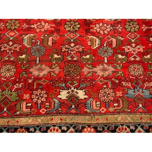 1051 - RED GROUND RUG 205cm x130cm