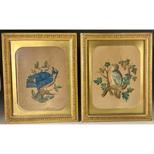 4 - PR. FRAMED 19TH CENTURY FEATHER PICTURES DEPICTING EXOTIC BIRDS, EACH APPROX. 40 X 33 cm overall