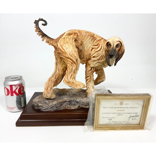 30 - HEREFORD FINE CHINA LARGE LTD ED MODEL OF A AFGHAN HOUND ON WOODEN PLINTH WITH  FRAMED COA