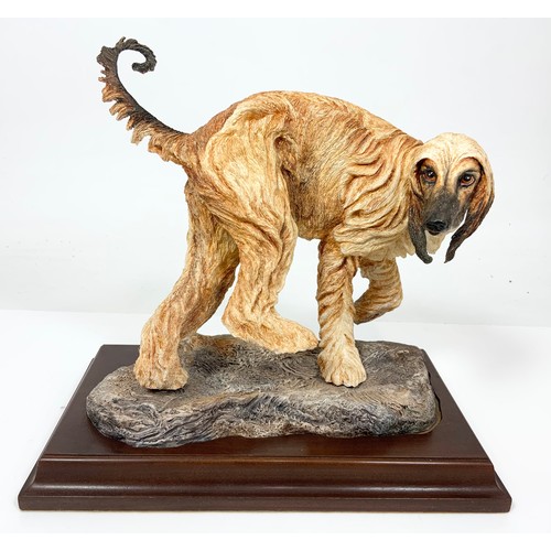 30 - HEREFORD FINE CHINA LARGE LTD ED MODEL OF A AFGHAN HOUND ON WOODEN PLINTH WITH  FRAMED COA