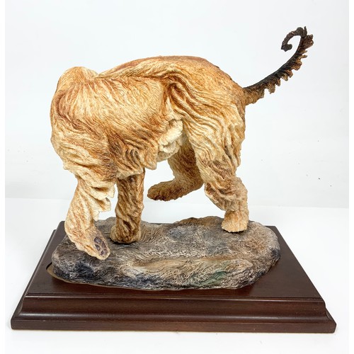 30 - HEREFORD FINE CHINA LARGE LTD ED MODEL OF A AFGHAN HOUND ON WOODEN PLINTH WITH  FRAMED COA