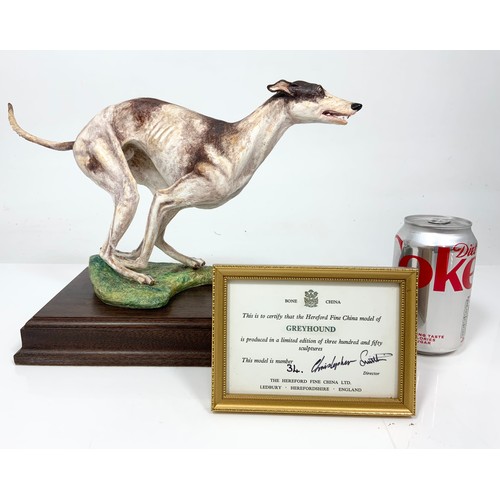 31 - HEREFORD FINE CHINA LARGE LTD ED MODEL OF A  GREYHOUND ON WOODEN PLINTH WITH COA