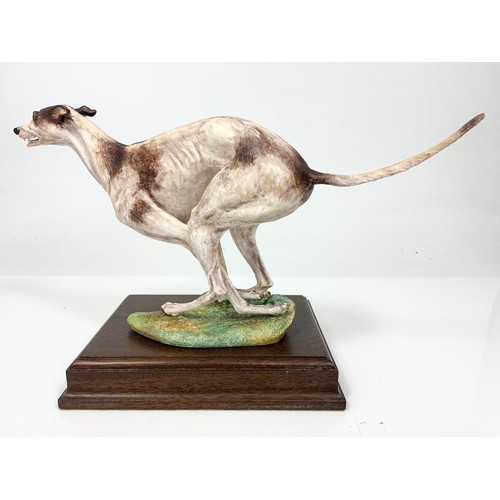 31 - HEREFORD FINE CHINA LARGE LTD ED MODEL OF A  GREYHOUND ON WOODEN PLINTH WITH COA