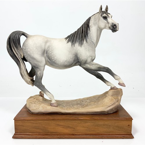 25 - ALBANY FINE CHINA MODEL OF A  ARAB MARE ON WOODEN PLINTH TALL