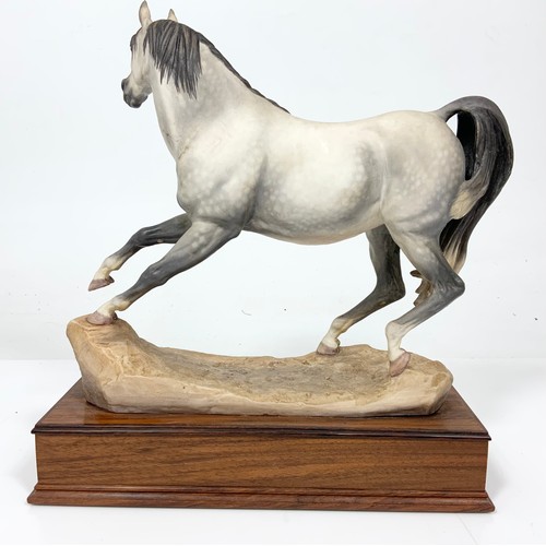 25 - ALBANY FINE CHINA MODEL OF A  ARAB MARE ON WOODEN PLINTH TALL