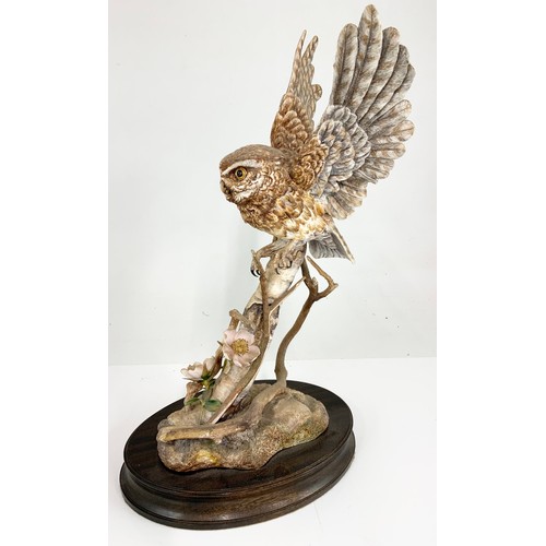 34 - HEREFORD FINE CHINA LARGE LTD ED MODEL OF A  LITTLE OWL ON WOODEN PLINTH WITH  FRAMED COA