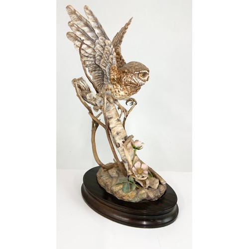 34 - HEREFORD FINE CHINA LARGE LTD ED MODEL OF A  LITTLE OWL ON WOODEN PLINTH WITH  FRAMED COA