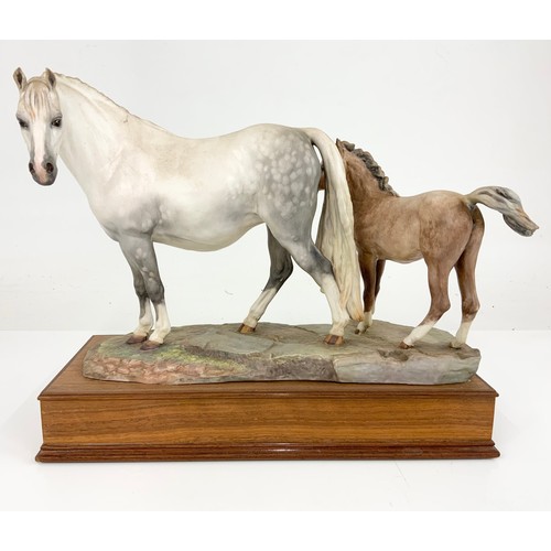 28 - ALBANY FINE CHINA MODEL OF A WELSH MARE & FOAL  ON WOODEN PLINTH