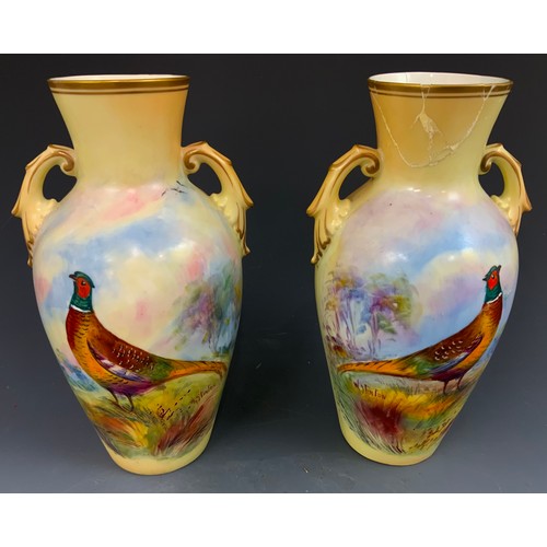 38 - PR. WORCESTER LOCKE & CO 2 HANDLED VASES, HAND PAINTED PHEASANTS IN NATURAL LANDSCAPE SIGNED STINTON... 