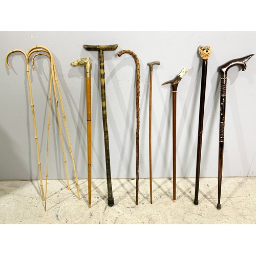 521 - QUANTITY OF WALKING STICKS ONE WITH FLASK, SCHOOL CANES,,