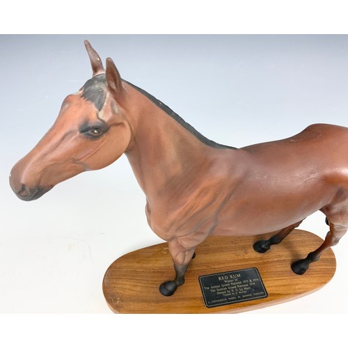 143 - BESWICK CONNOISSEUR MODEL OF RED RUM ON WOODEN PLINTH