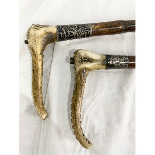 462 - 2 SWAINE & ADENEY HUNTING  CROPS  WITH  ANTLER HANDLES & SILVER MOUNTS WITH A HUNTING WHIP WITH ANTL... 