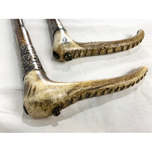 462 - 2 SWAINE & ADENEY HUNTING  CROPS  WITH  ANTLER HANDLES & SILVER MOUNTS WITH A HUNTING WHIP WITH ANTL... 